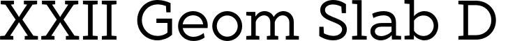 XXII Geom Slab DEMO